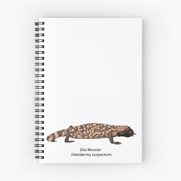 Item preview, Gila Monster, no background designed and sold by CNZdenek.