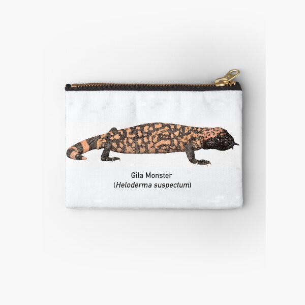 Item preview, Gila Monster, no background designed and sold by CNZdenek.