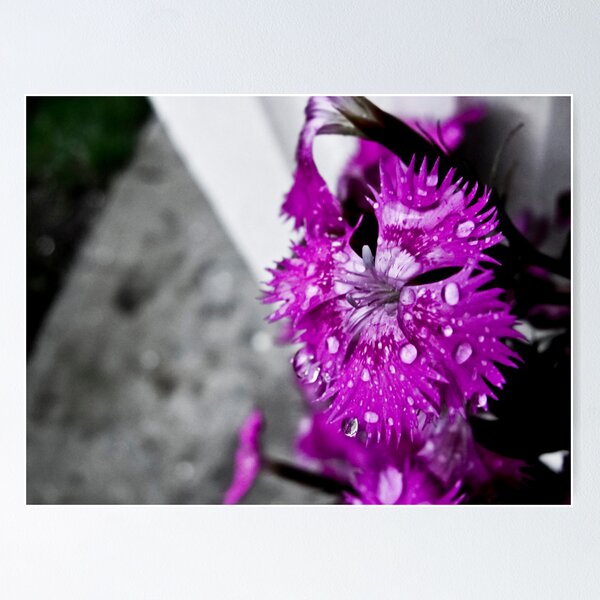 Item preview, flower purple designed and sold by Jorge ortiz.