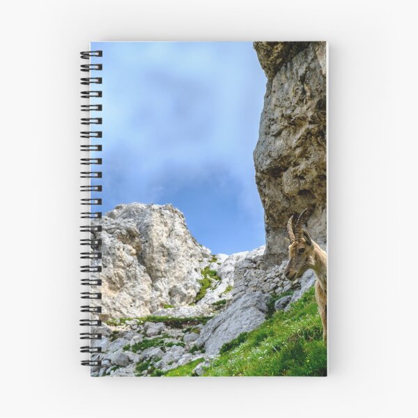 Item preview, Steinbocks in the Julian alps designed and sold by zakaz86.
