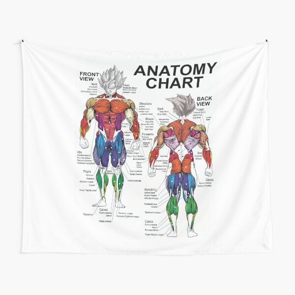 Saiyan Anatomy Chart - Muscle Diagram - Anime Workout Tapestry