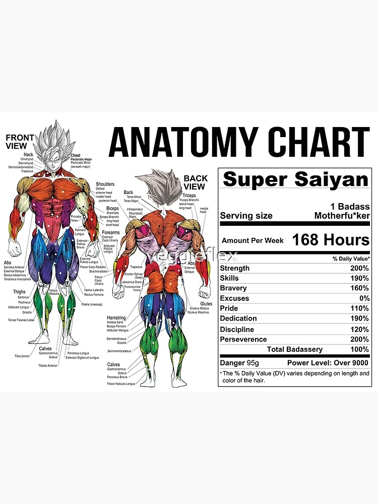 Disover Saiyan Anatomy Chart - Muscle Diagram Premium Matte Vertical Poster
