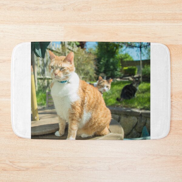 Item preview, Stern Cat  designed and sold by hawkie.