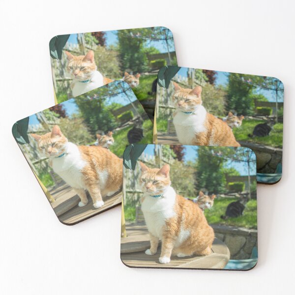 Item preview, Stern Cat  designed and sold by hawkie.