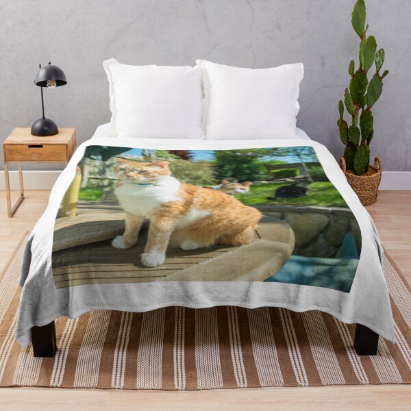 Item preview, Stern Cat designed and sold by hawkie.