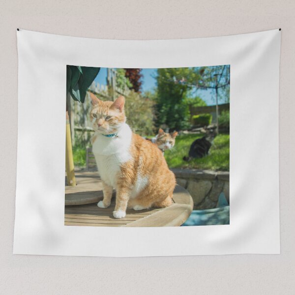 Item preview, Stern Cat  designed and sold by hawkie.
