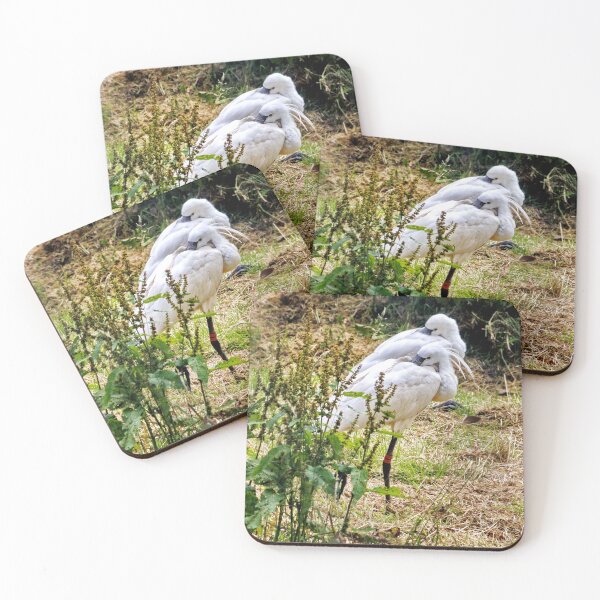 Item preview, Egrets designed and sold by AnnDixon.