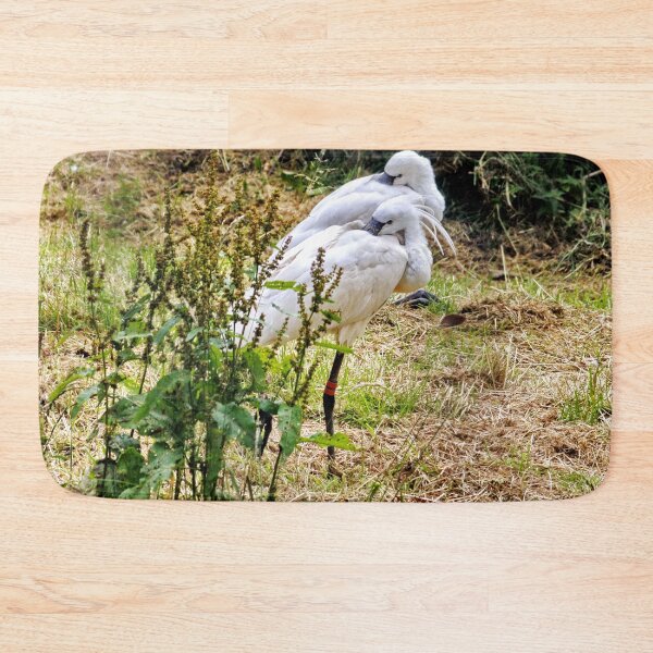Item preview, Egrets designed and sold by AnnDixon.