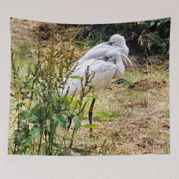 Item preview, Egrets designed and sold by AnnDixon.