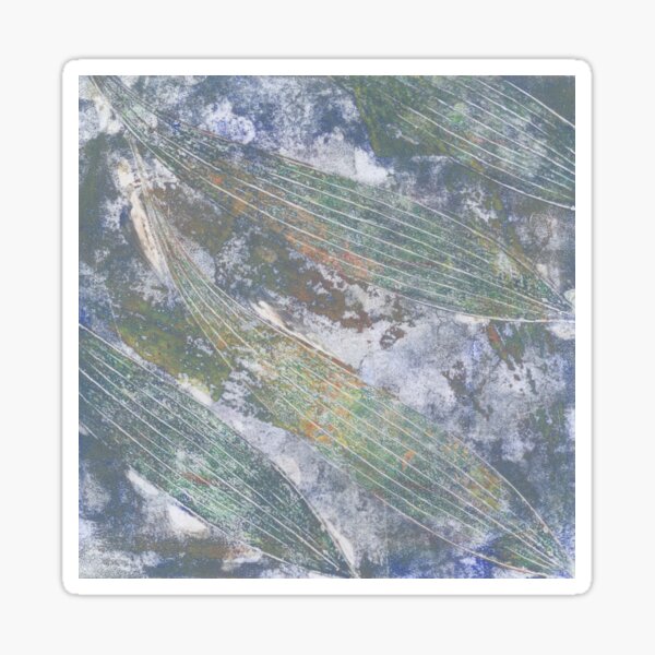 Hakea Sticker