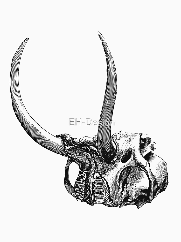 Mammut Schädel von EH-Design