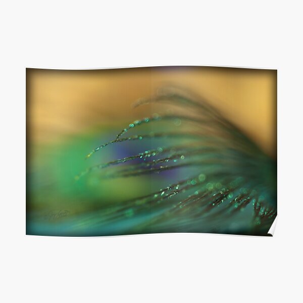 Riding the Wave Poster