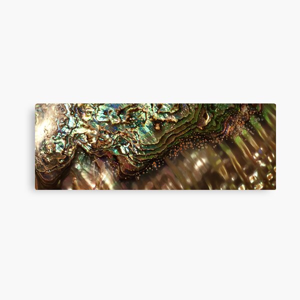 Treasures Await in a Jeweled Sea Canvas Print