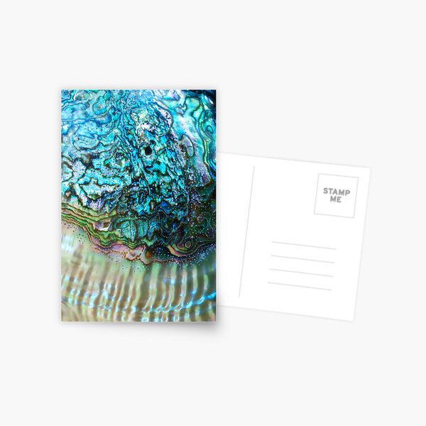 Dreams of the Sea Nourish Thee Postcard