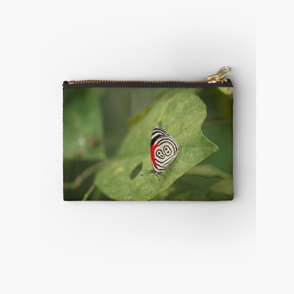 Item preview, Butterfly with nice wing design designed and sold by Philippe Widling.