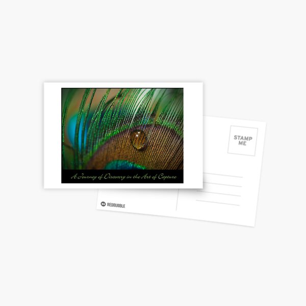 Journey of Discovery Postcard