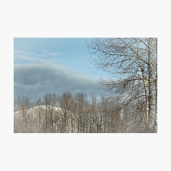 Calm after the Storm Photographic Print