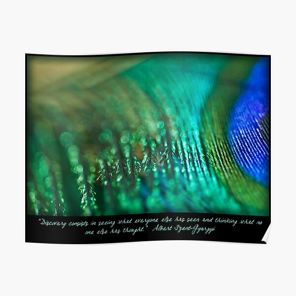 Discovering the Magic Poster