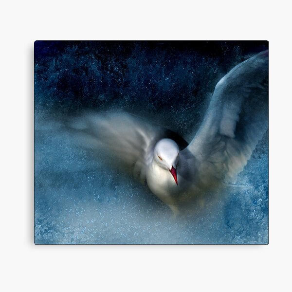 la grâce Impression sur toile