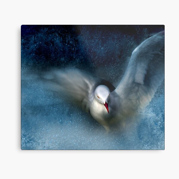 grace Metal Print