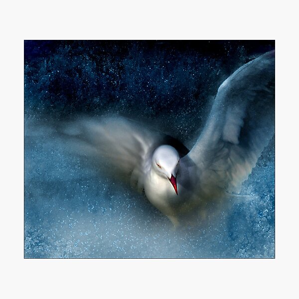 grace Photographic Print