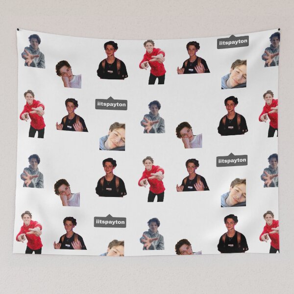 Item preview, Payton Moormeier Tik Tok Boy Sticker Pack designed and sold by shannondunnx.