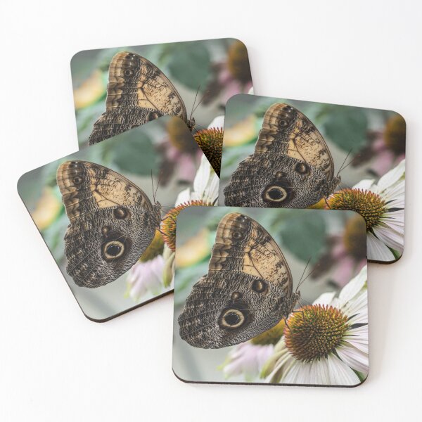 Item preview, Caligo memnon butterfly designed and sold by JBlaminsky.