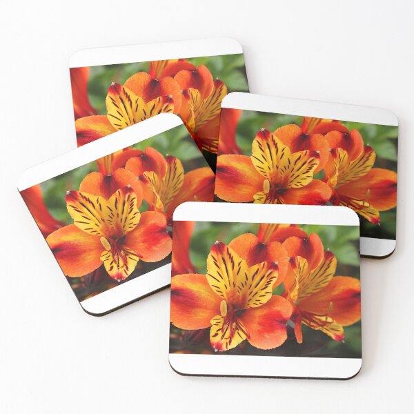 Item preview, In Bloom designed and sold by ellenmpics.