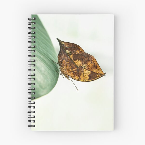 Item preview, Oakleaf butterfly designed and sold by JBlaminsky.
