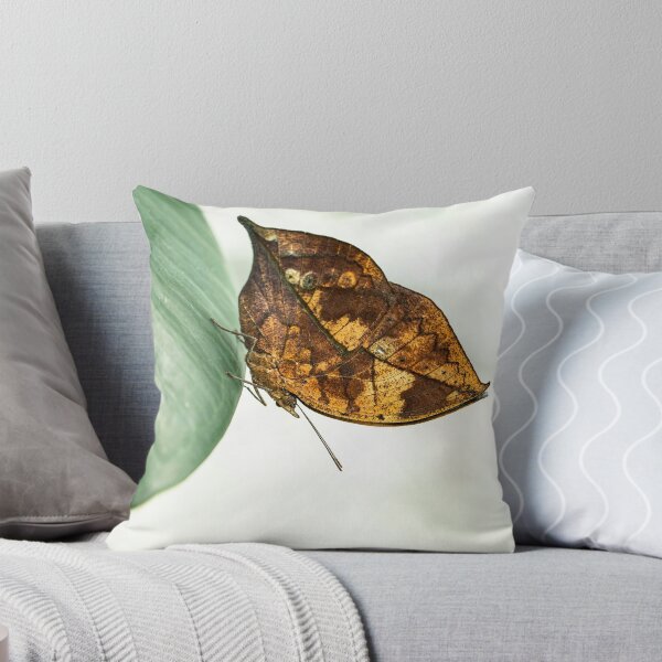 Item preview, Oakleaf butterfly designed and sold by JBlaminsky.