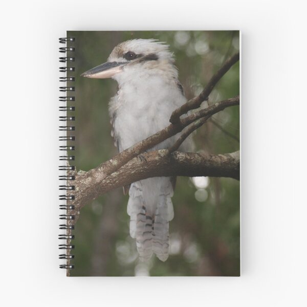 Item preview, Jacky.  Australian Kookaburras . designed and sold by ginnymac.