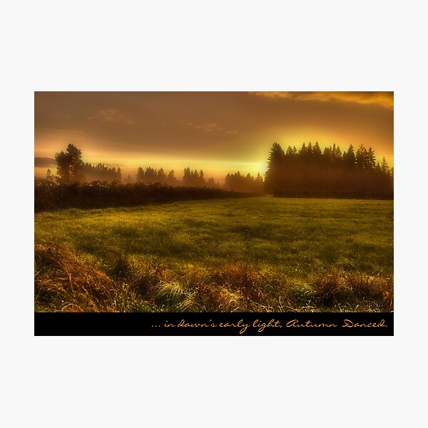 ... in dawns early light, ... Autumn Danced Photographic Print