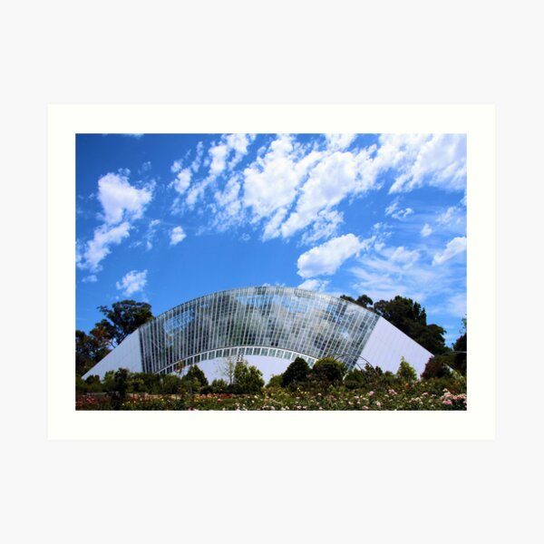 Adelaide South Australia Art Print