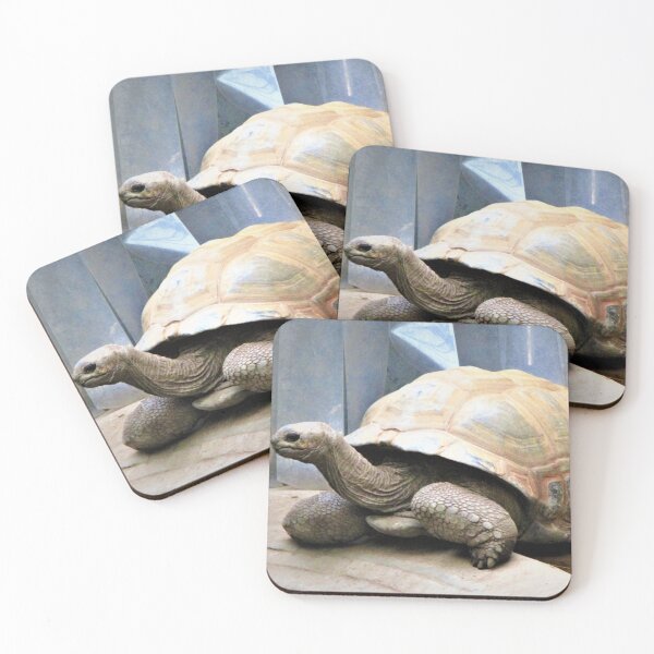 Item preview, Giant Tortoise Is Silently Judging You designed and sold by realdorypanda.