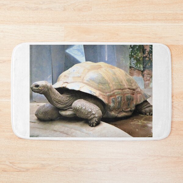 Item preview, Giant Tortoise Is Silently Judging You designed and sold by realdorypanda.