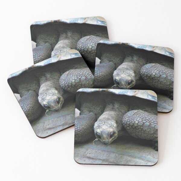 Item preview, Happy Giant Tortoise Eating Grass designed and sold by realdorypanda.