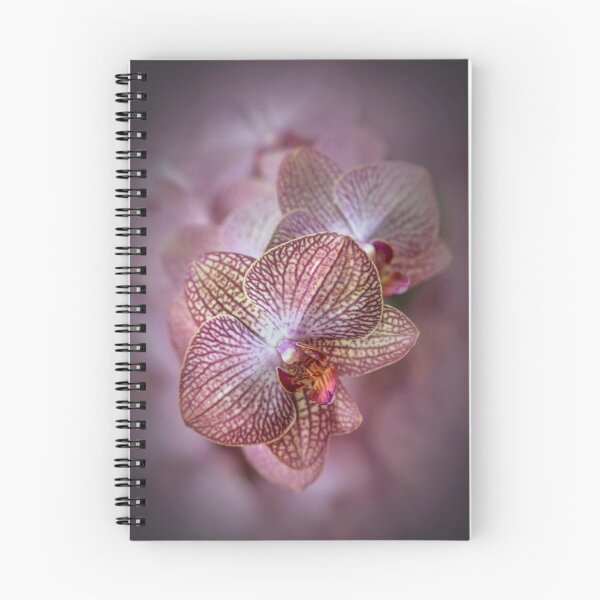 Item preview, Pretty detailed orchidea flowes designed and sold by JBlaminsky.