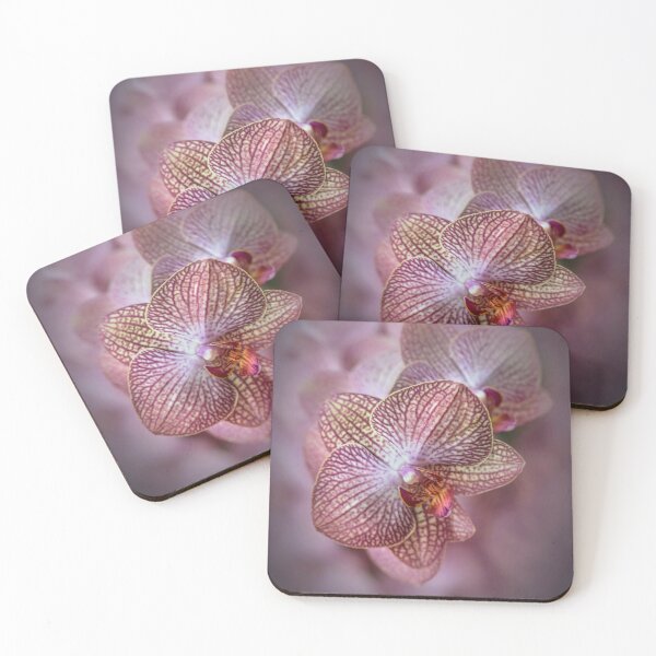 Item preview, Pretty detailed orchidea flowes designed and sold by JBlaminsky.