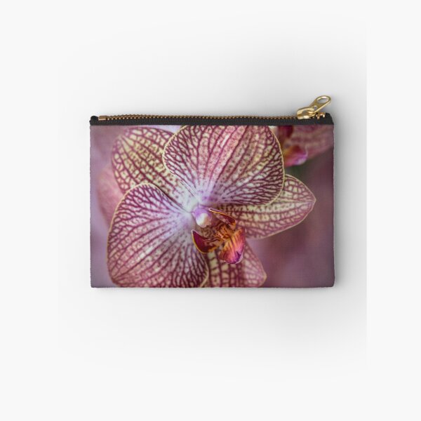 Item preview, Pretty detailed orchidea flowes designed and sold by JBlaminsky.