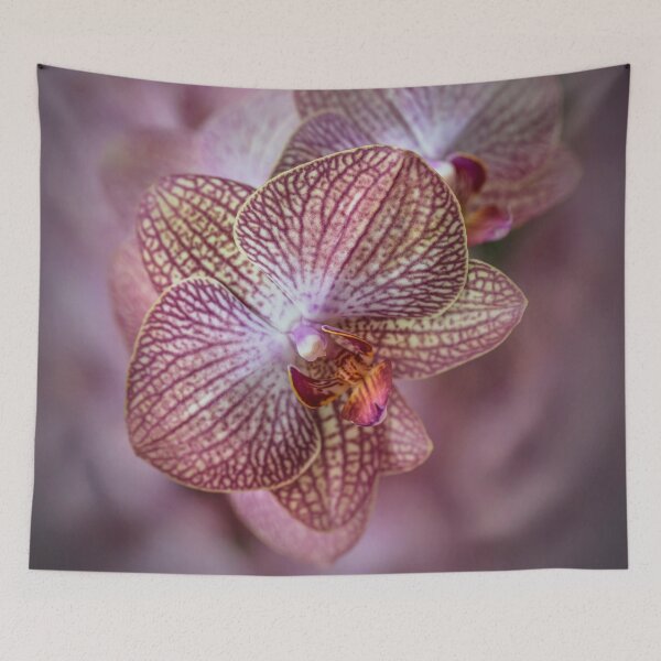 Item preview, Pretty detailed orchidea flowes designed and sold by JBlaminsky.
