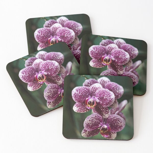 Item preview, Violet and white orchids designed and sold by JBlaminsky.