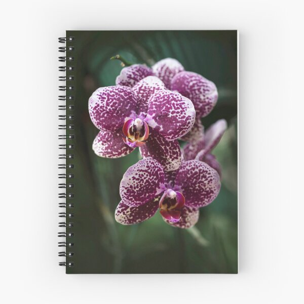 Item preview, Violet and white orchids designed and sold by JBlaminsky.