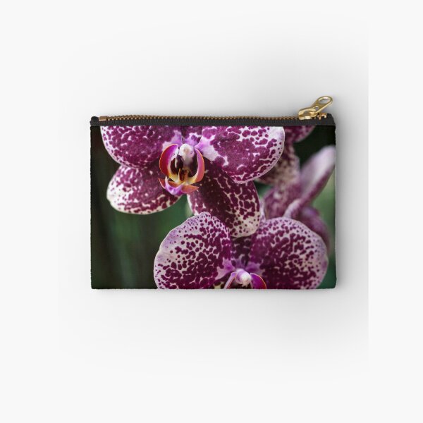 Item preview, Violet and white orchids designed and sold by JBlaminsky.