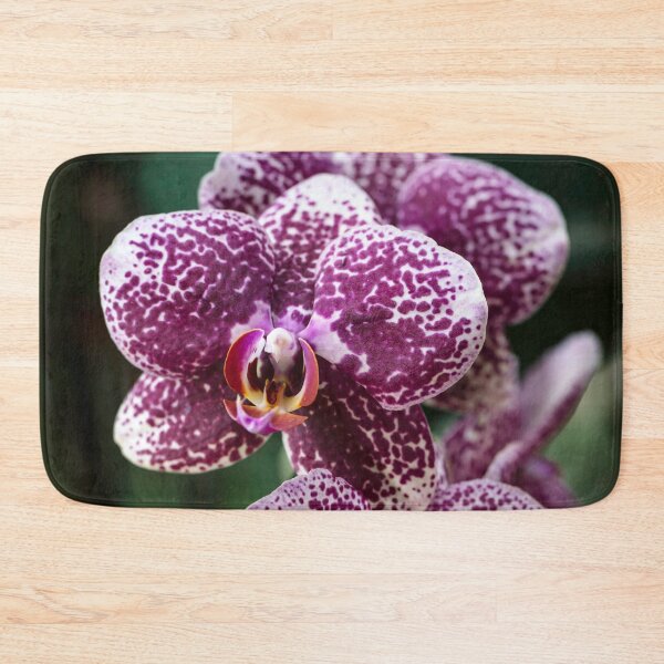 Item preview, Violet and white orchids designed and sold by JBlaminsky.