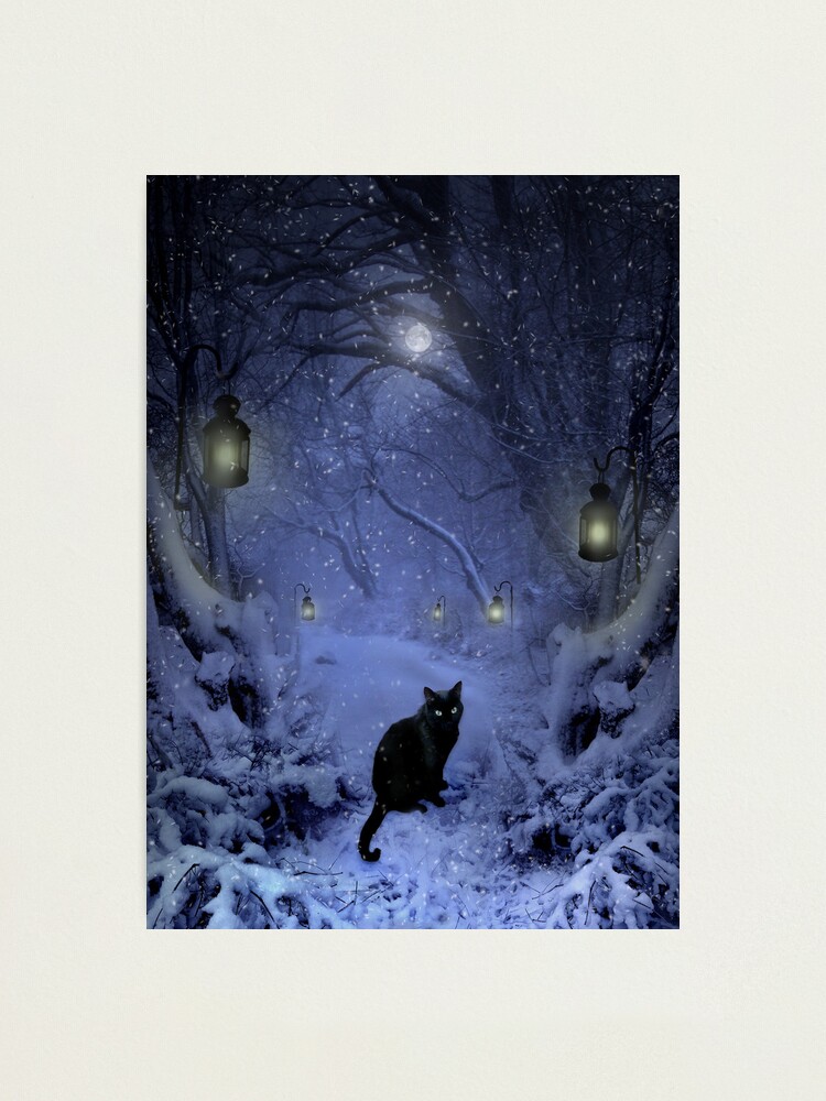 Alternate view of Frostar Midnight Photographic Print
