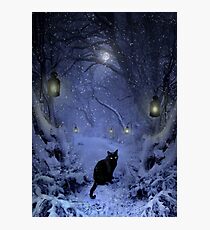 Frostar Midnight Photographic Print