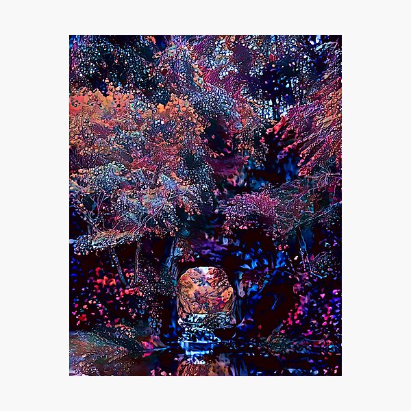 Altered Perceptions - Fantasy Forest Caves Photographic Print
