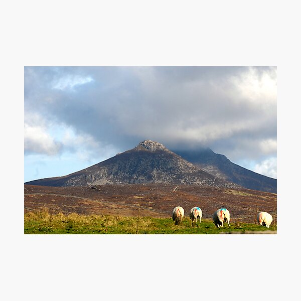 MOURNE MOUNTAINS Photographic Print