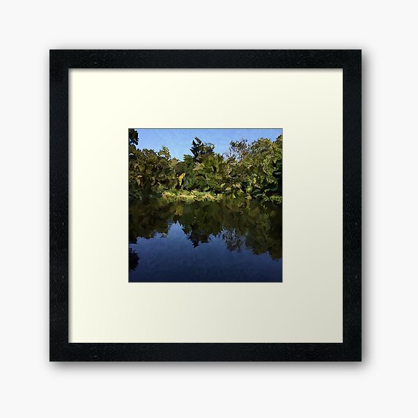 Framed Print