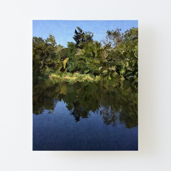 Canvas Mounted Print